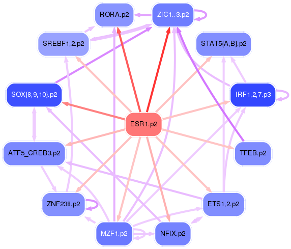 PNG image of the network