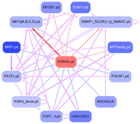 PNG image of the network
