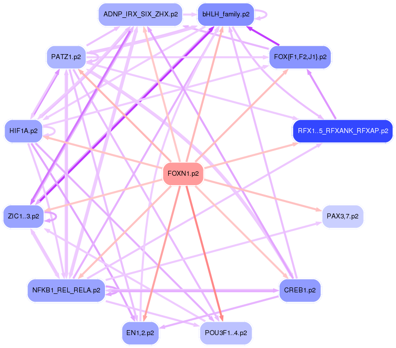 PNG image of the network
