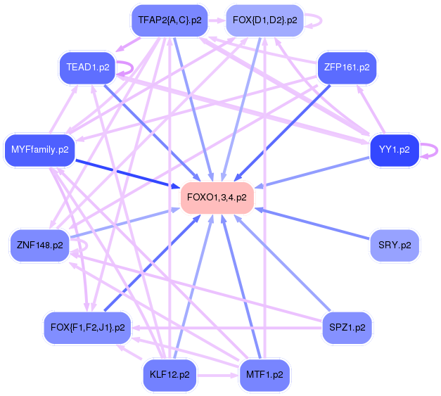 PNG image of the network