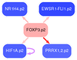 PNG image of the network