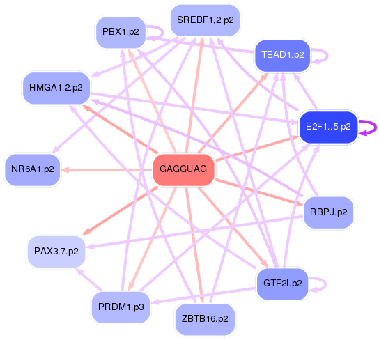 PNG image of the network