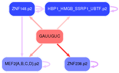PNG image of the network