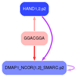 PNG image of the network