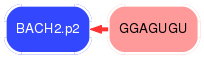 PNG image of the network