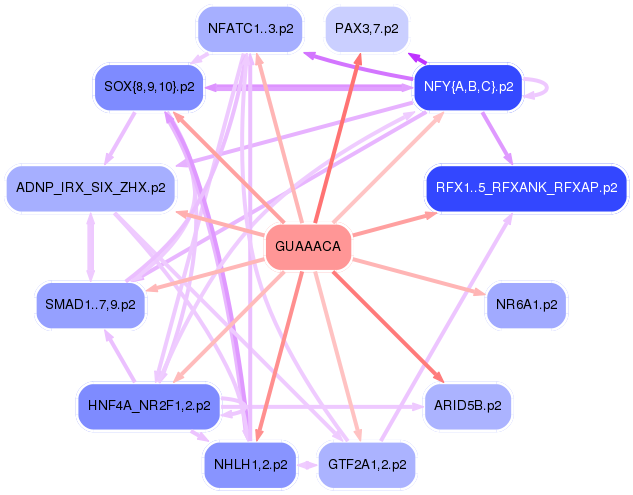PNG image of the network