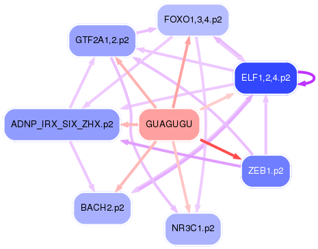 PNG image of the network