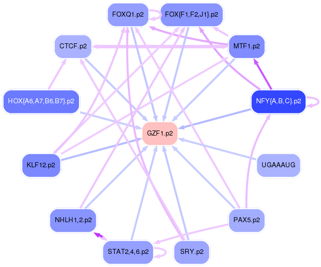 PNG image of the network