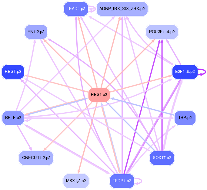 PNG image of the network