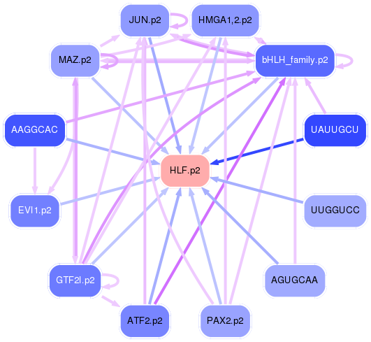PNG image of the network