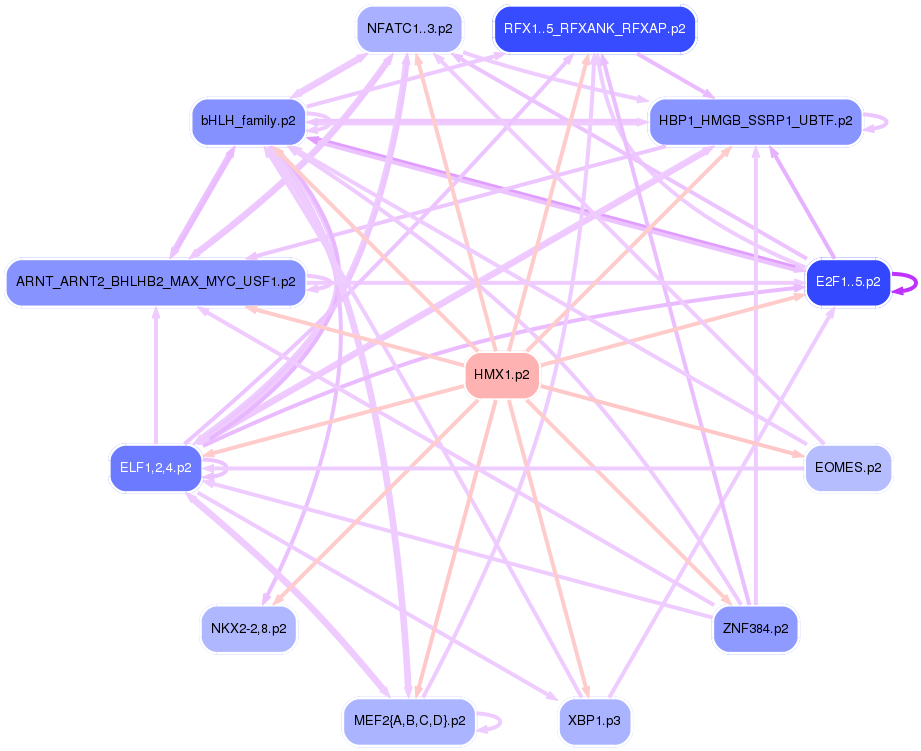 PNG image of the network
