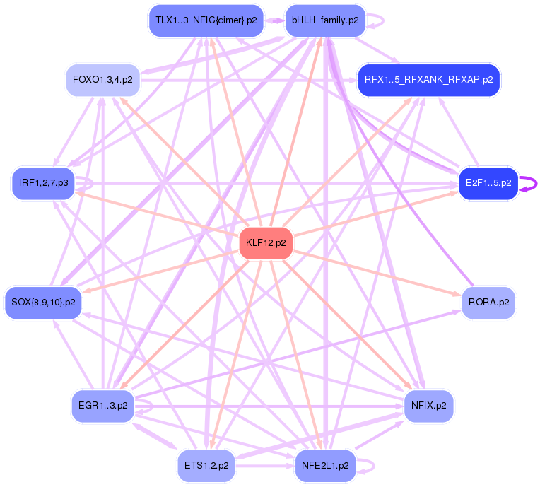PNG image of the network