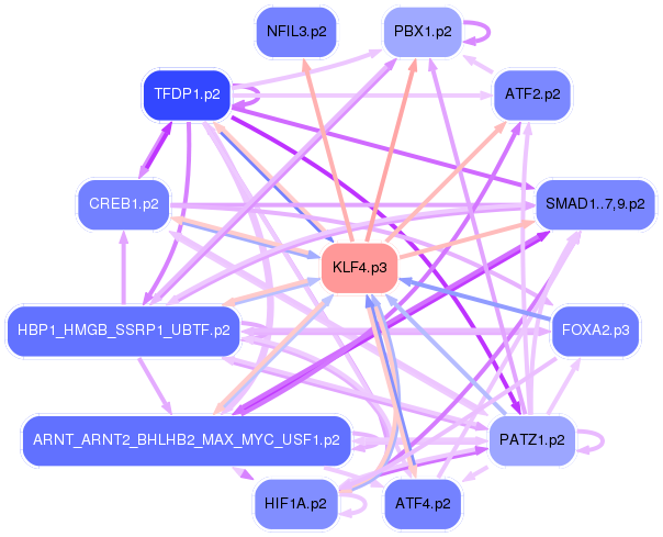 PNG image of the network