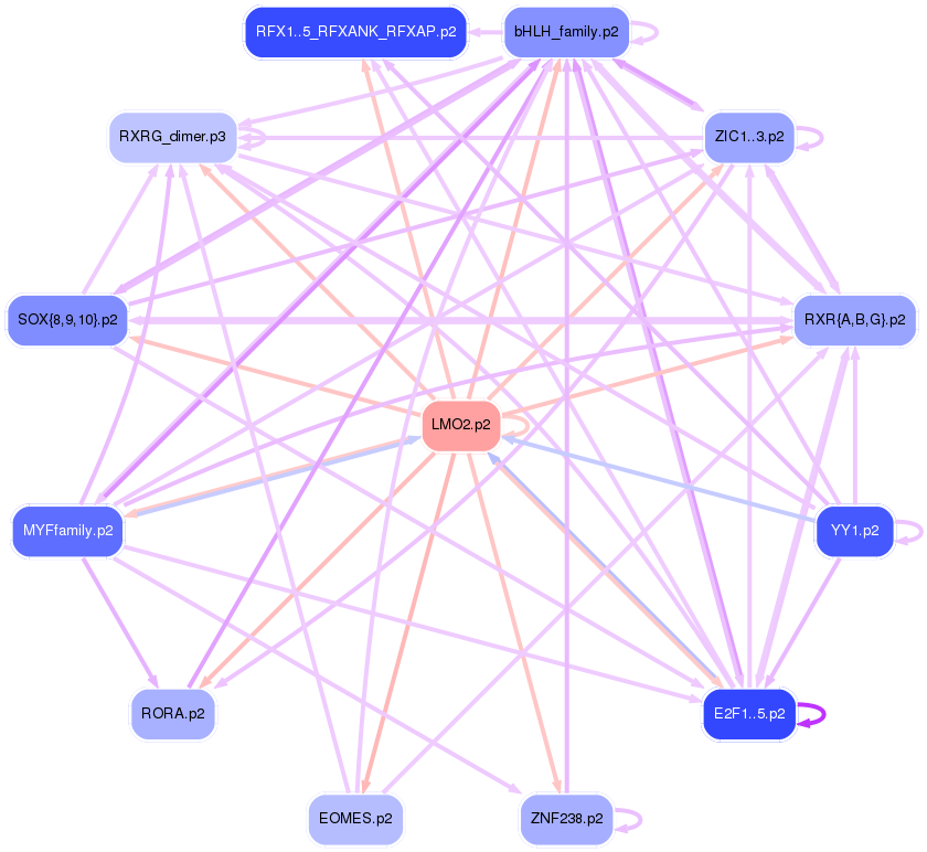 PNG image of the network