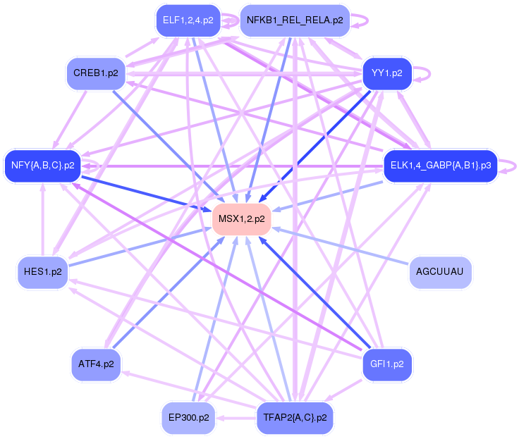 PNG image of the network