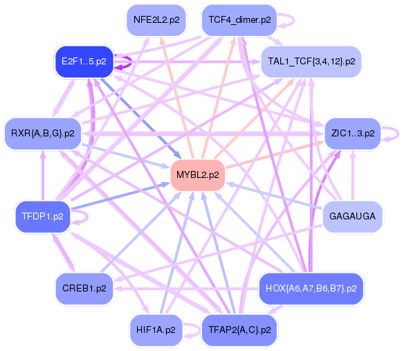 PNG image of the network