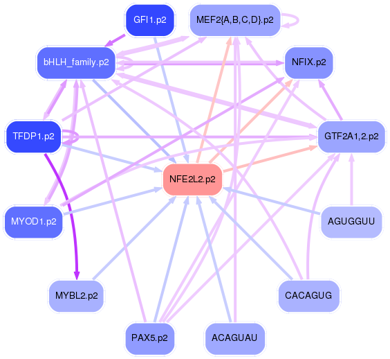 PNG image of the network