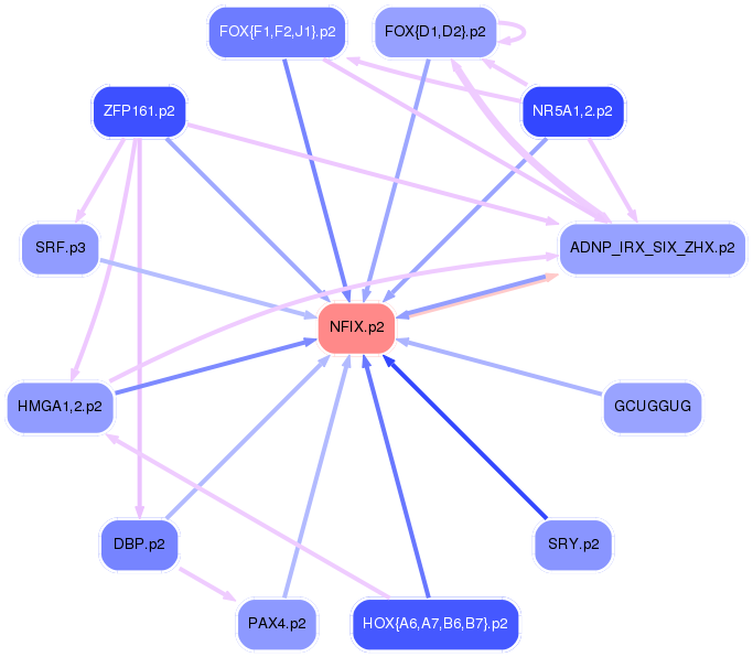 PNG image of the network