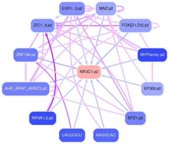 PNG image of the network