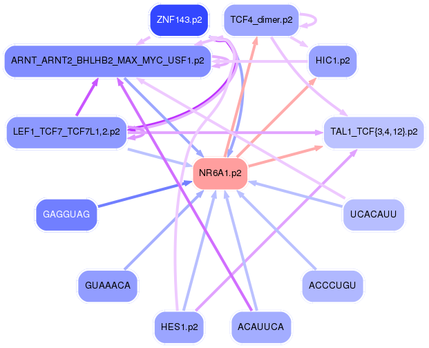 PNG image of the network