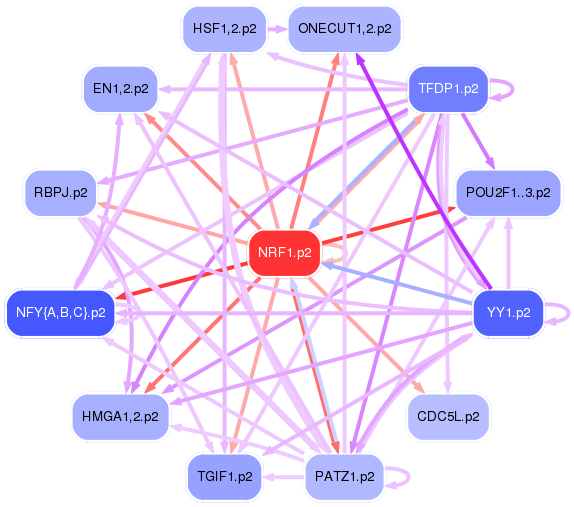 PNG image of the network