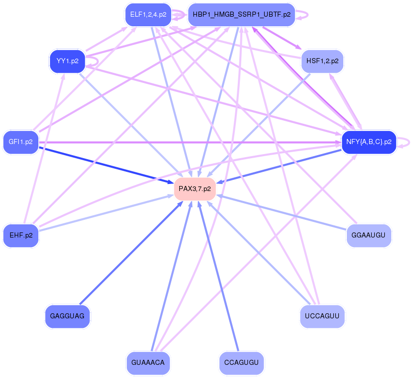 PNG image of the network