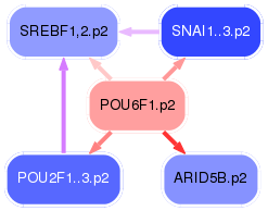 PNG image of the network