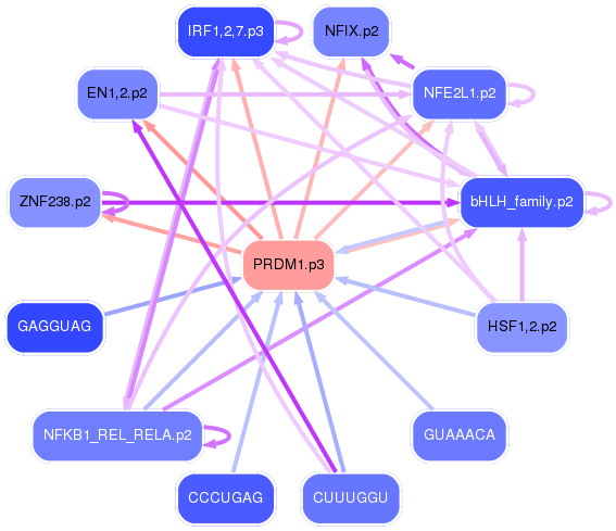 PNG image of the network
