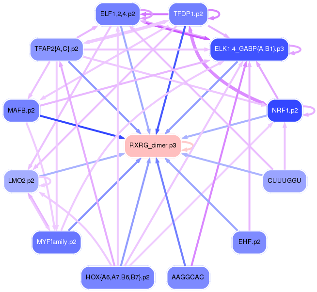 PNG image of the network