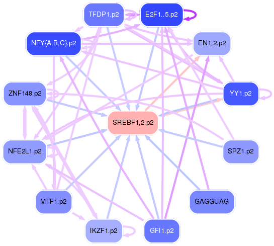 PNG image of the network