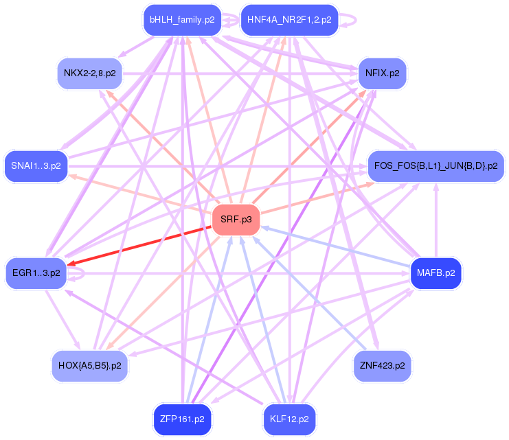 PNG image of the network