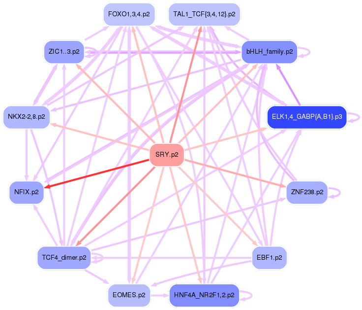 PNG image of the network