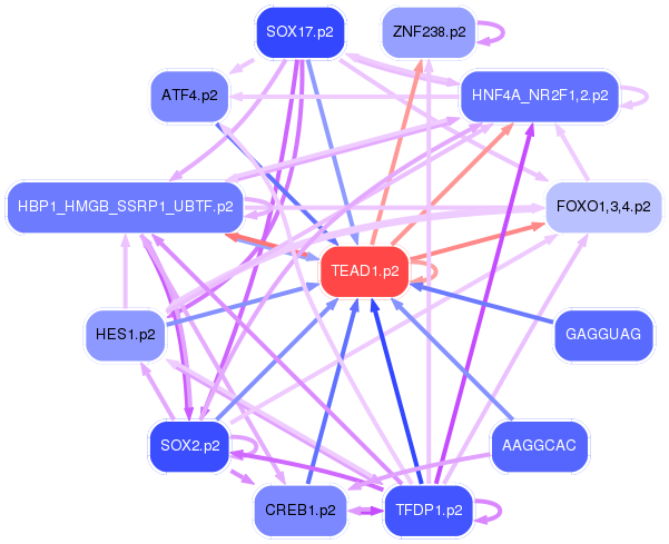 PNG image of the network