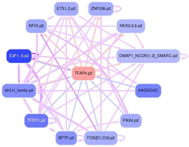PNG image of the network