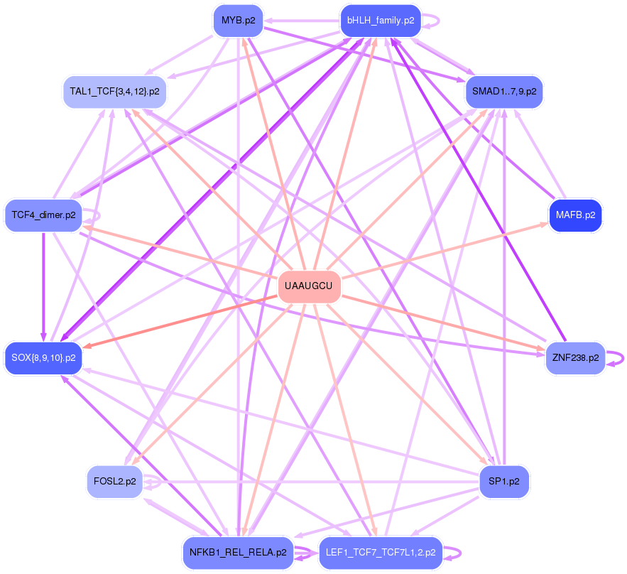 PNG image of the network