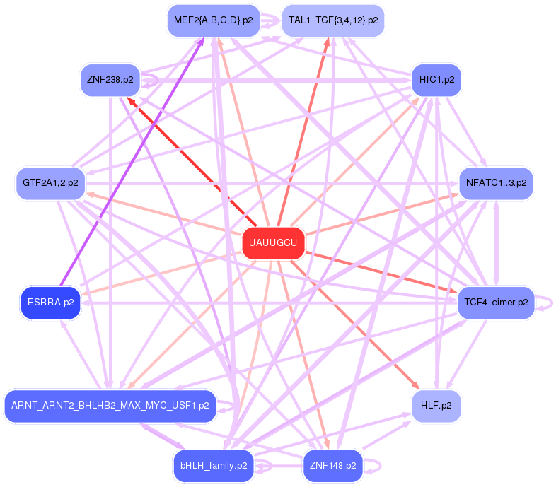 PNG image of the network