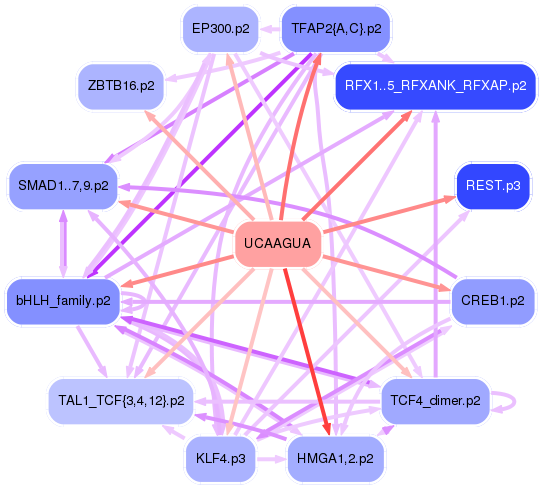 PNG image of the network