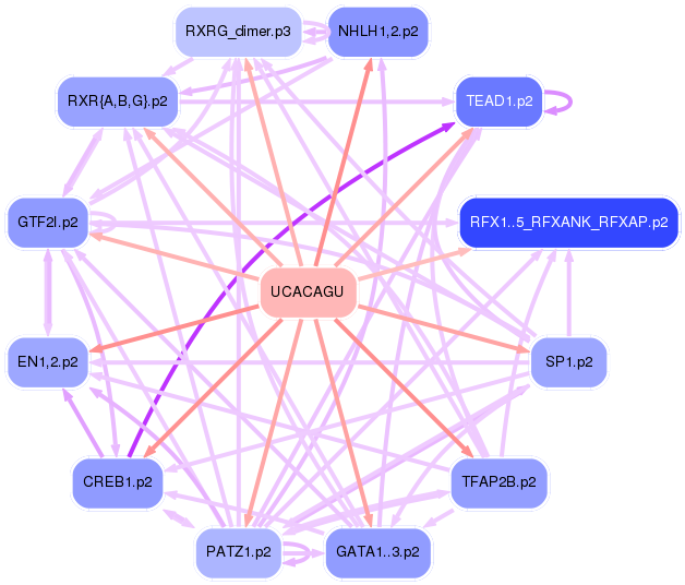 PNG image of the network