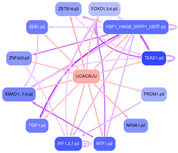 PNG image of the network