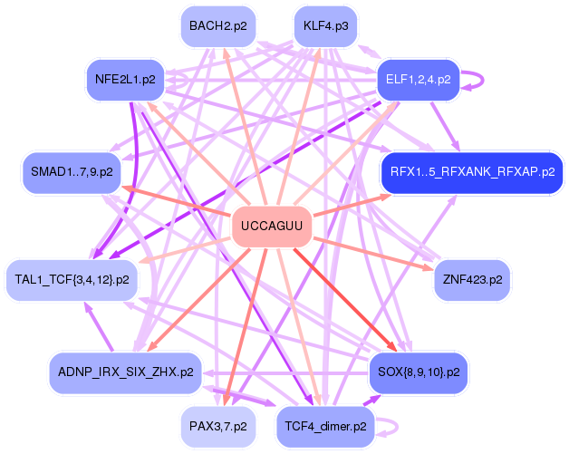 PNG image of the network