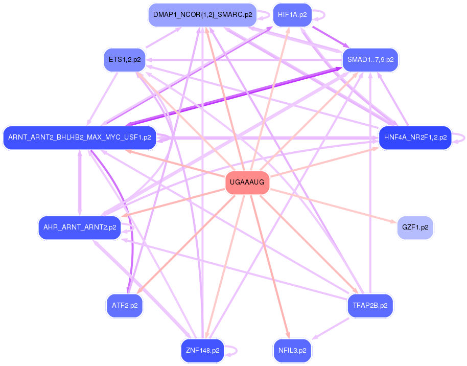 PNG image of the network
