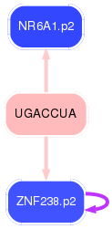 PNG image of the network