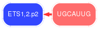 PNG image of the network