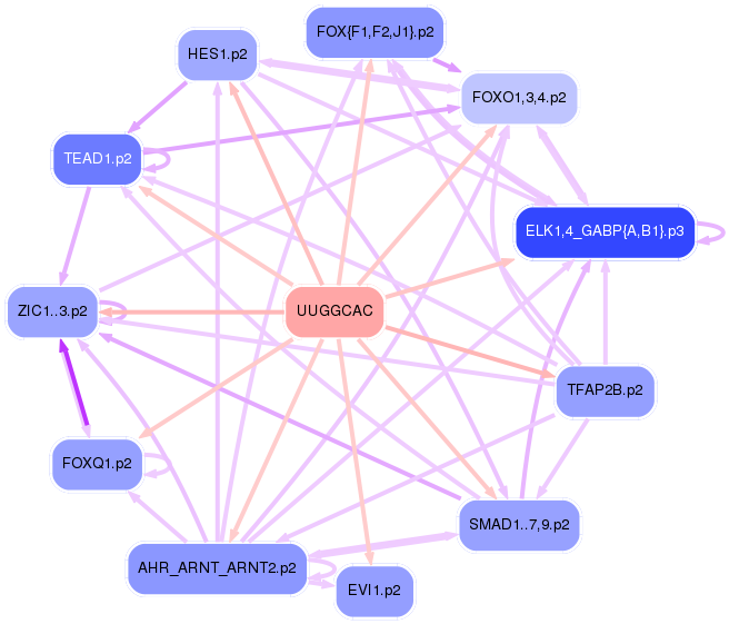 PNG image of the network
