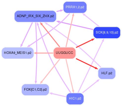 PNG image of the network