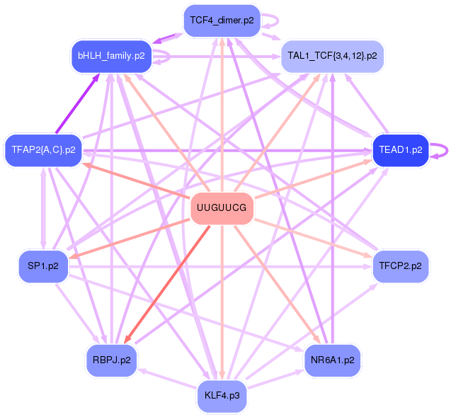PNG image of the network
