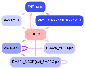 PNG image of the network