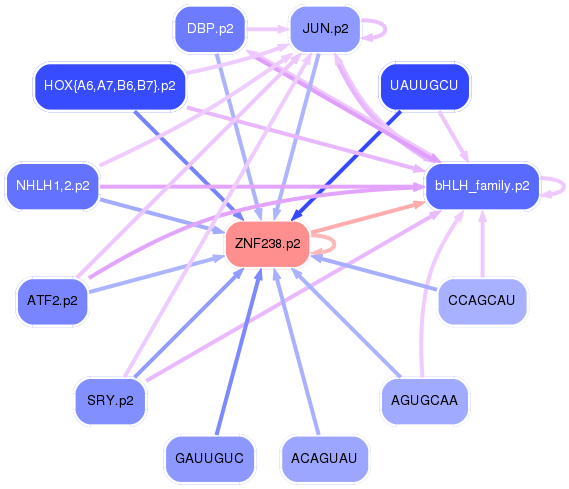 PNG image of the network