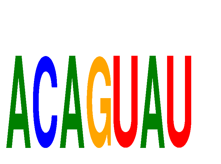 SeqLogo of ACAGUAU