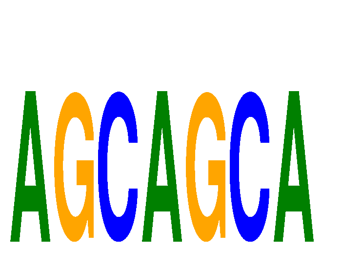 SeqLogo of AGCAGCA